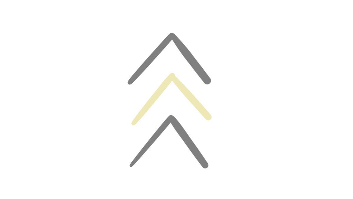 8.13.2 Trisomie 21 8.13.2 Trisomie 21