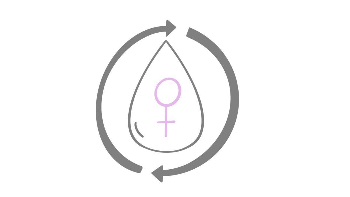14.2.1.1 Hormonelle Entwicklung
