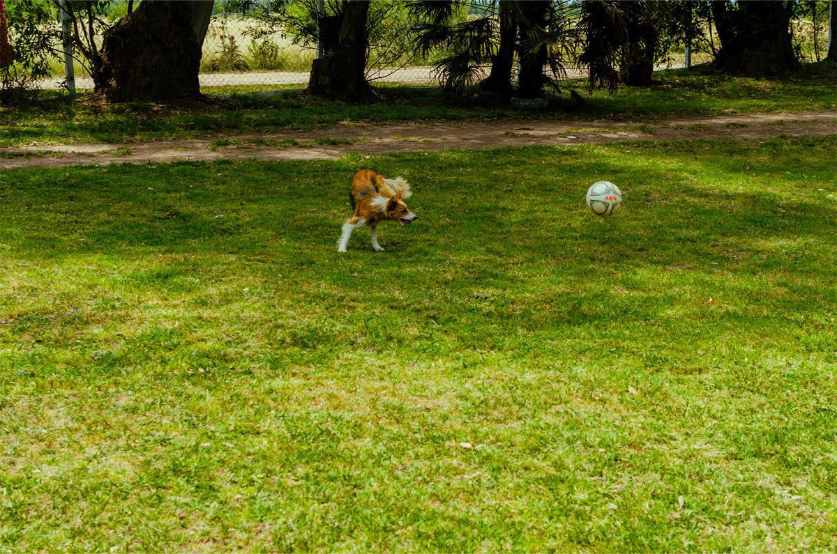 MDS HOMBRES - RESISTENTES | 14/12/2024 MDS HOMBRES - RESISTENTES | 14/12/2024