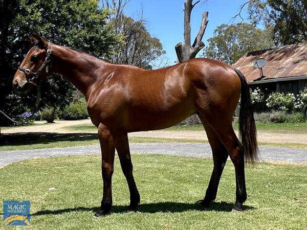 Australian Imports Shine at Padre Garcia