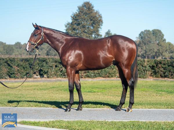 Australian Imports Shine at Padre Garcia