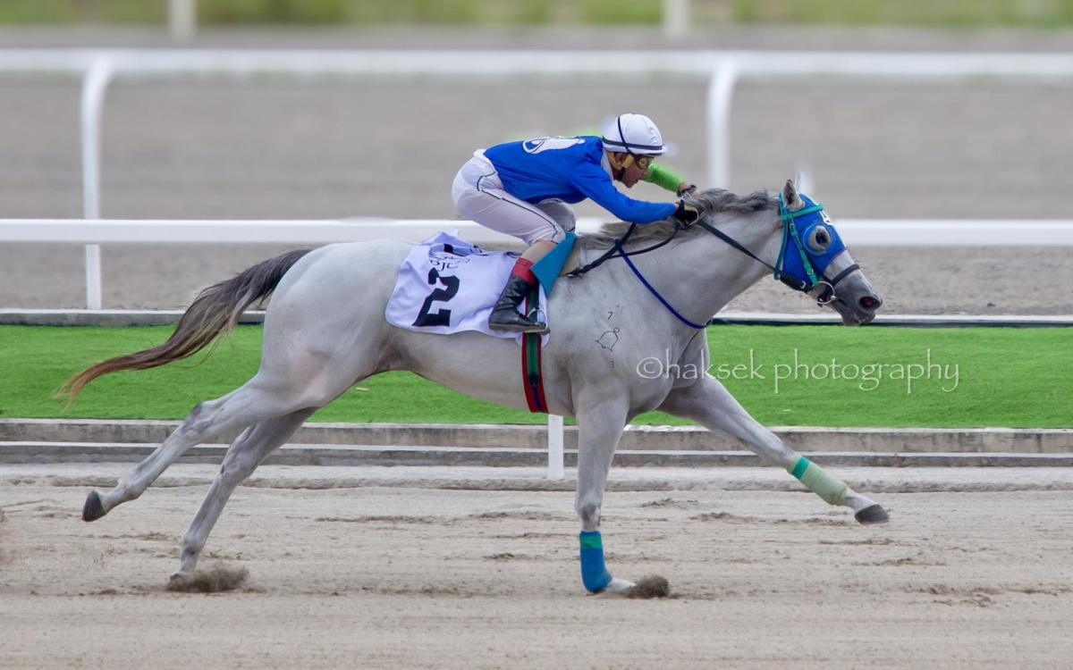 Fillies To Dominate Sunday’s Juvenile Stakes Rac Fillies To Dominate Sunday’s Juvenile Stakes Rac