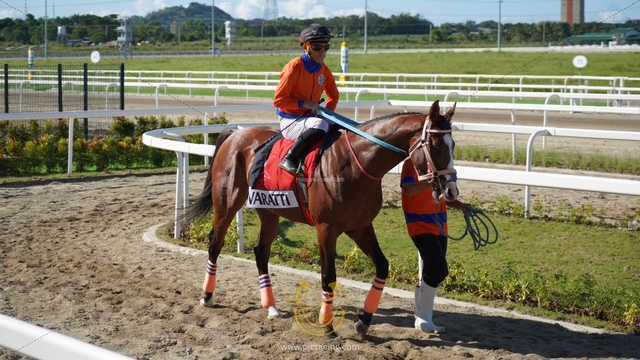 Varatti wins the Eduardo Cojuangco Memorial Cup