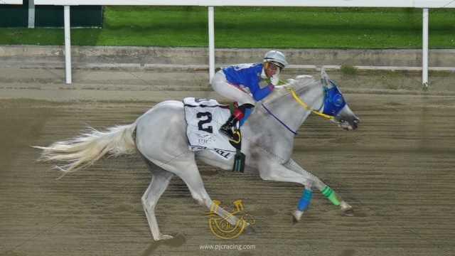 Big Week for Bell Racing and Donato Sordan