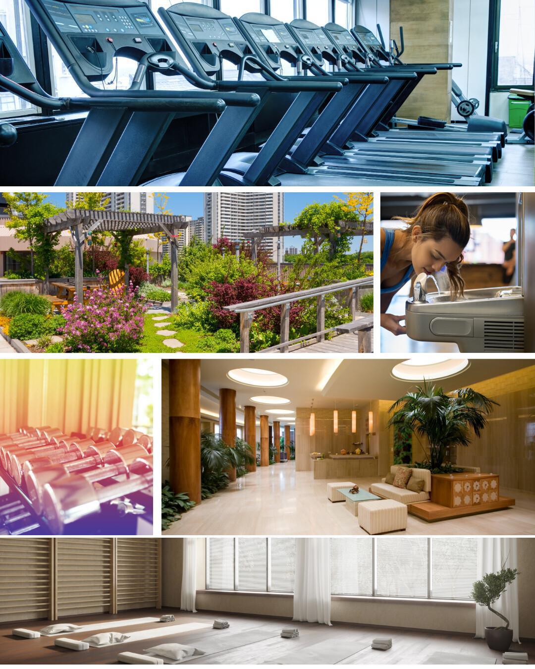 Wellness as the New Standard: How Multifamily Housing Is Evolving  Wellness as the New Standard: How Multifamily Housing Is Evolving
