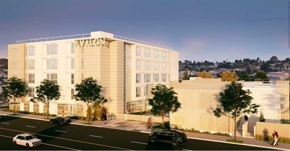 Hope on Avalon