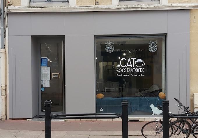 Aux Cat Coins Du Monde