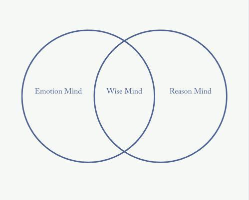 Using Your Wise Mind Using Your Wise Mind