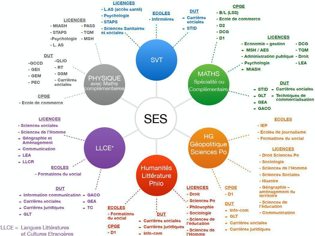 LYCEES - Le choix des spécialités (ou EDS) est-il un marqueur social ? LYCEES - Le choix des spécialités (ou EDS) est-il un marqueur social ?