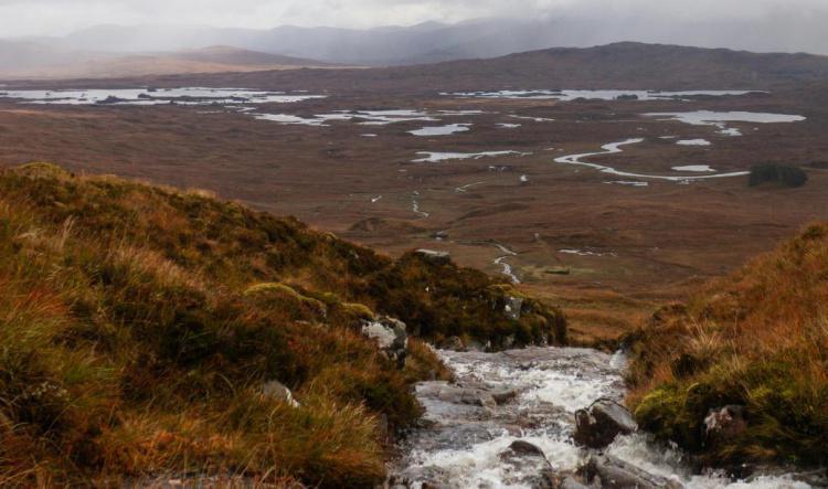 Les Whiskies Tourbés