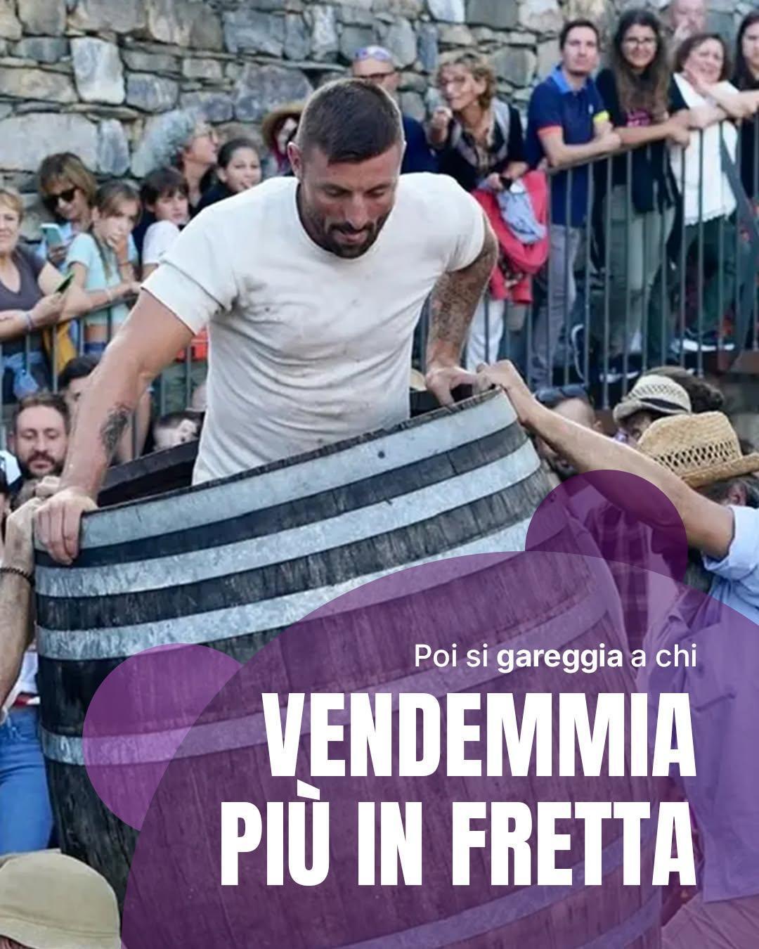 61^ Sagra dell'Uva e del Vino - Palio dei Rioni Vezzanesi