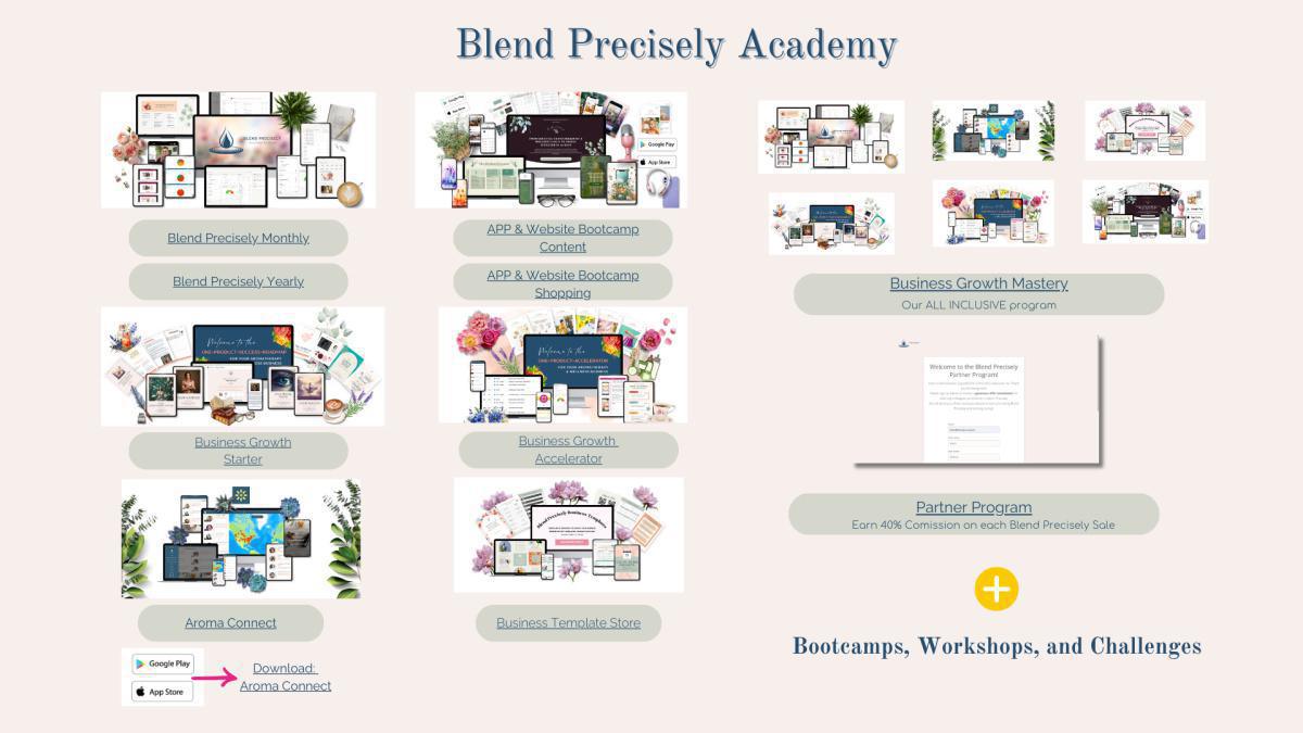 Blend Precisely Programs