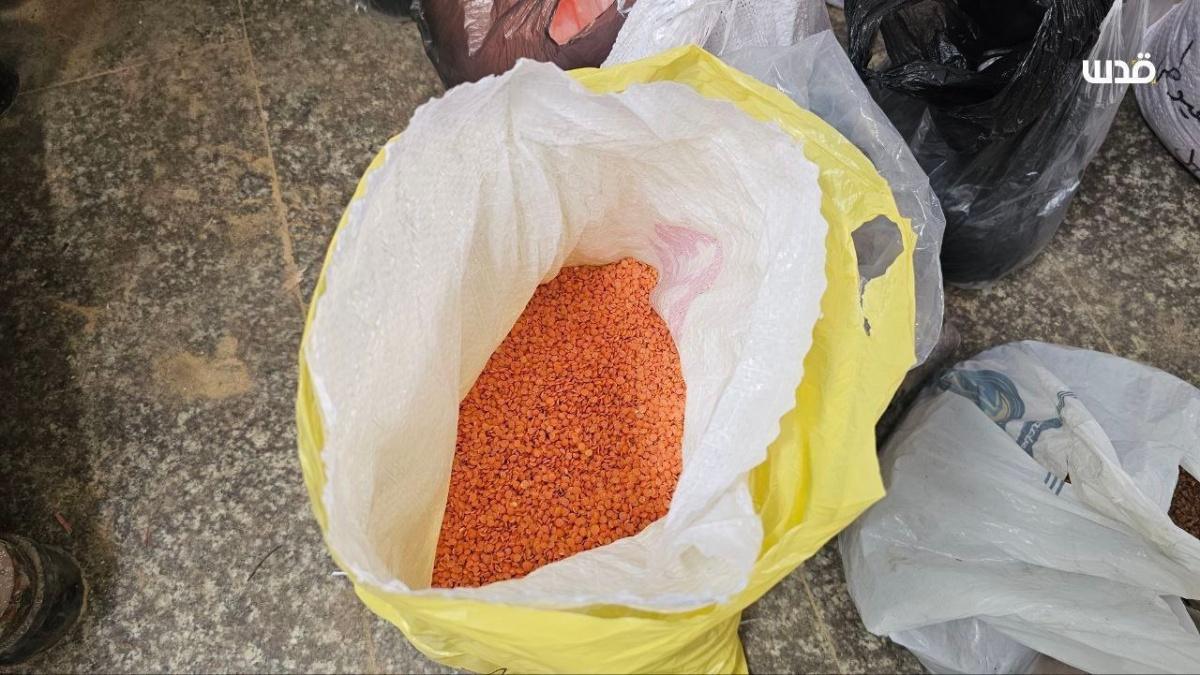 Gaza : l'ingéniosité des habitants transforme la pénurie en solutions innovantes Gaza : l'ingéniosité des habitants transforme la pénurie en solutions innovantes