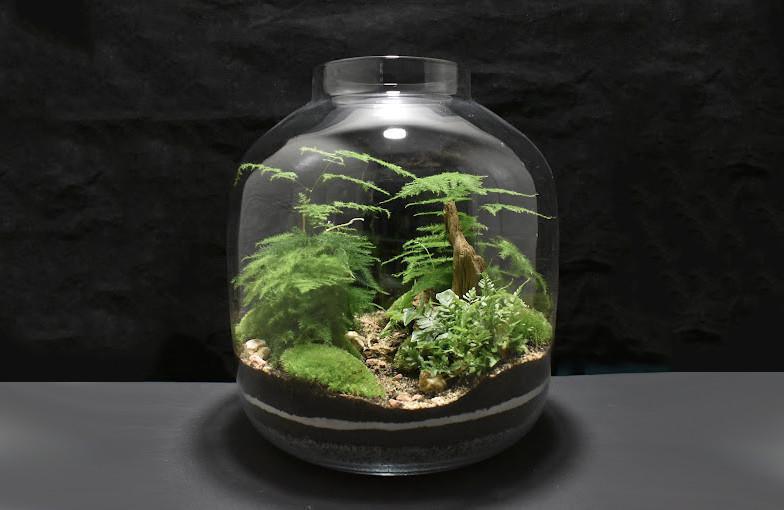 Verre le Végétal Verre le Végétal