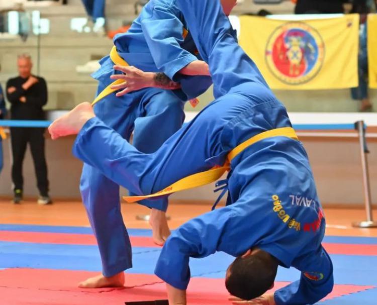 ES Bonchamp Vovinam