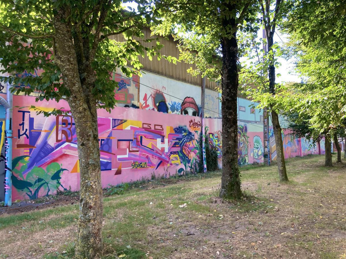 Fresques de l'ancien hippodrome