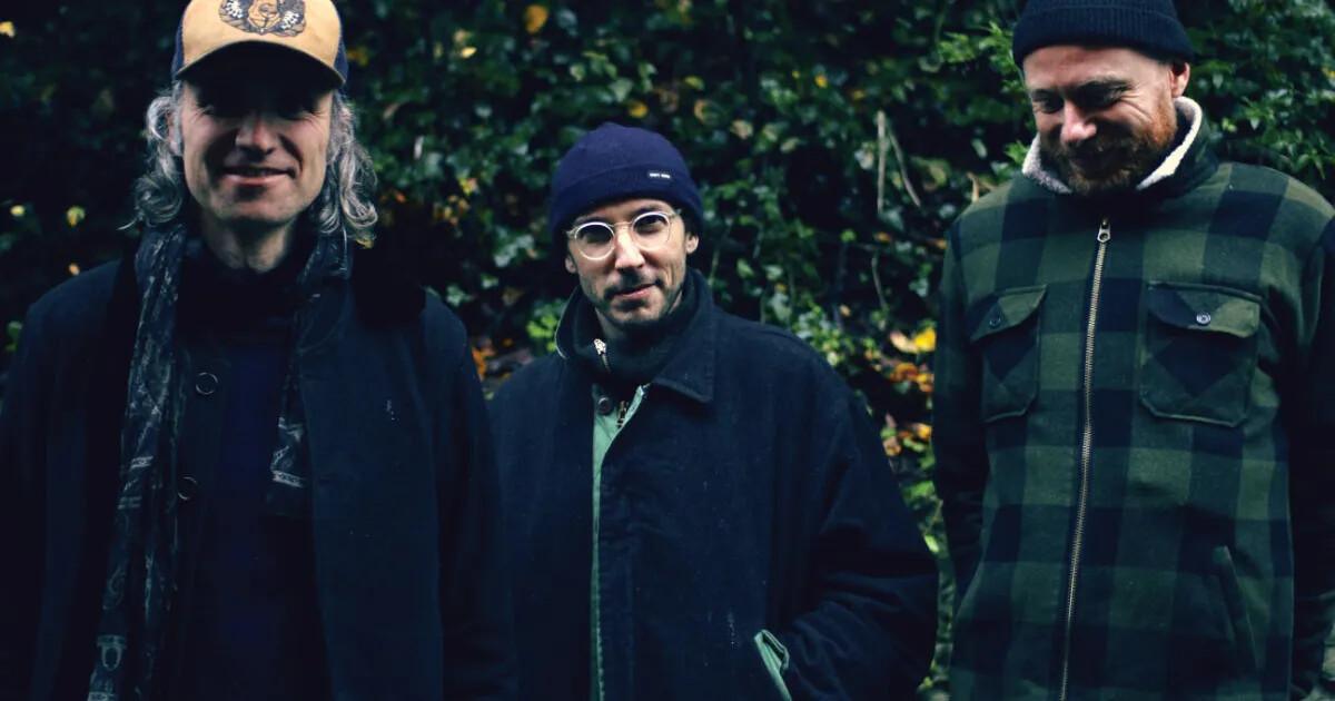 Fourches : Silence dans les champs