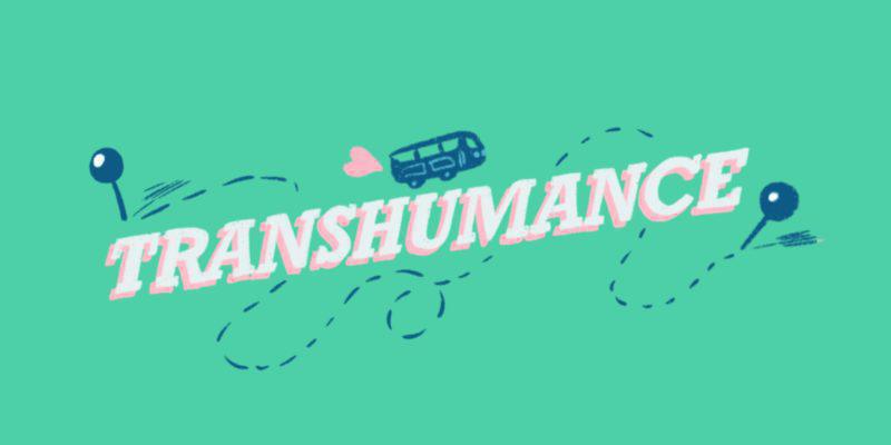 Transhumance #2