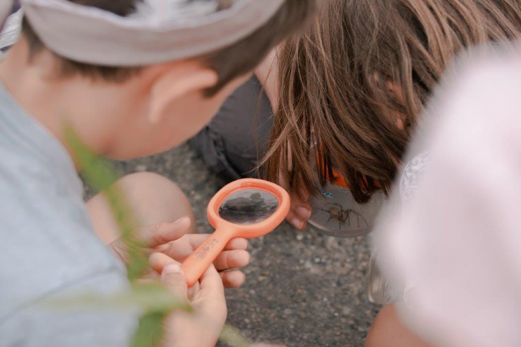 Centre d'Initiation à la Nature (CIN)