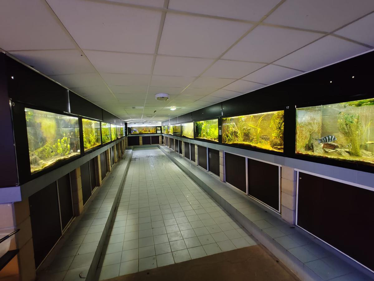 Refuge des 2 Écailles