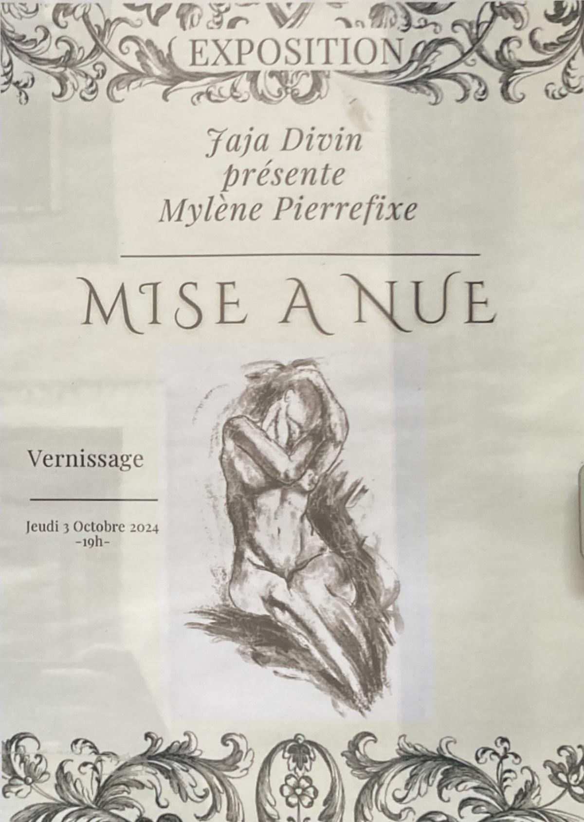 Mise à nue