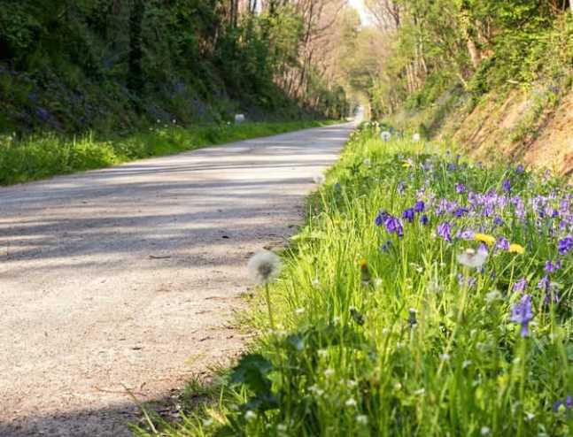 Départ de la Voie Verte (St-Berthevin)