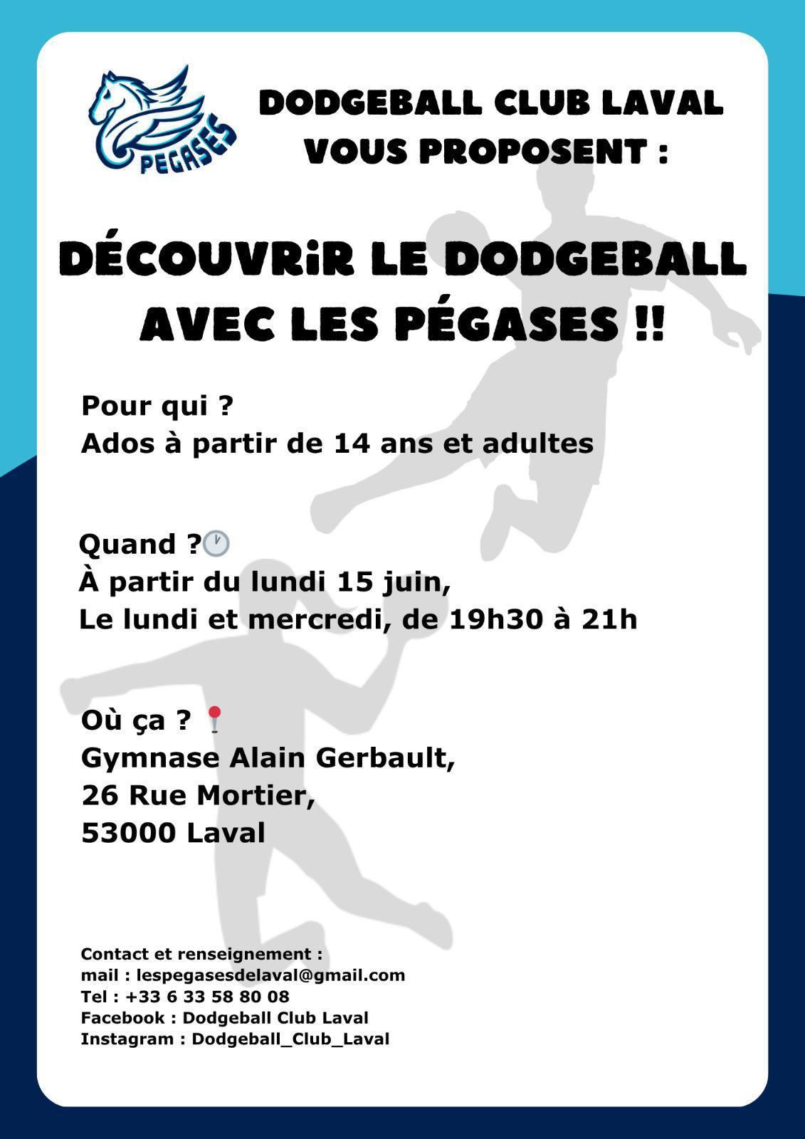 Découverte du dodgeball avec Les Pégases