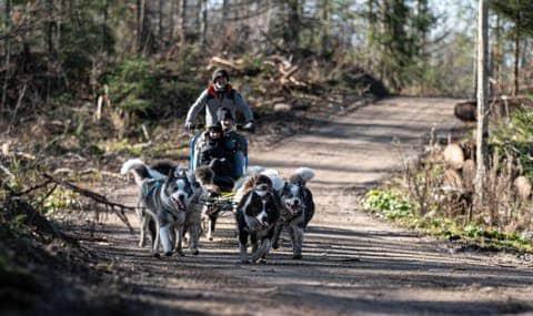 Club de randonnées d’attelage canin