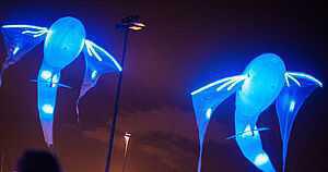 Le ballet des poissons volants