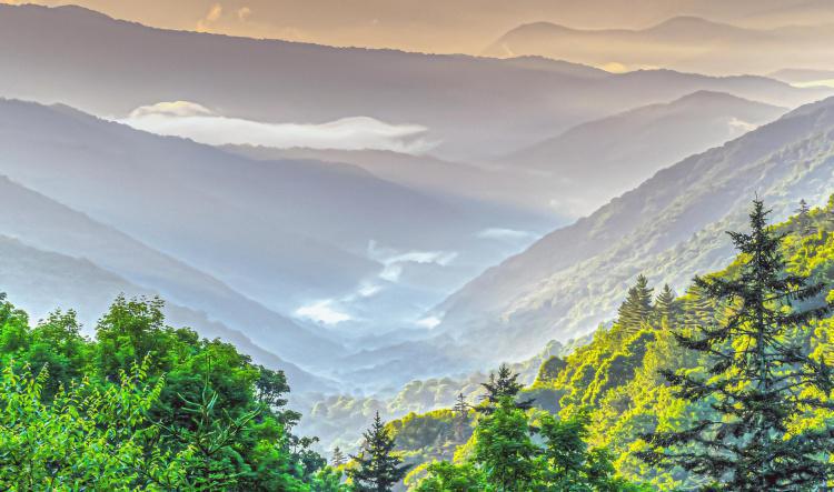 Tennessee
