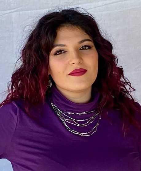 Il Consiglio Comunale Il Consiglio Comunale