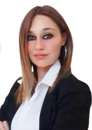 Il Consiglio Comunale Il Consiglio Comunale