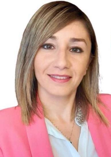 Il Consiglio Comunale Il Consiglio Comunale