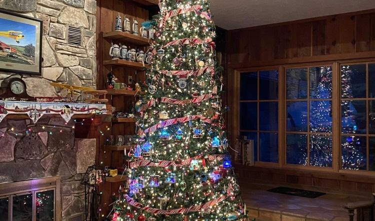 Christmas Tree with TDM Ornament