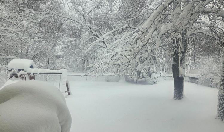 Winter Storm - New Jersey