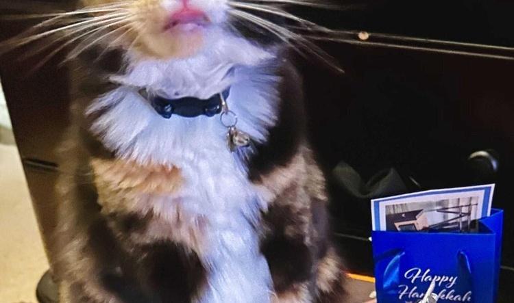 Lima Jane has NO Thumbs!