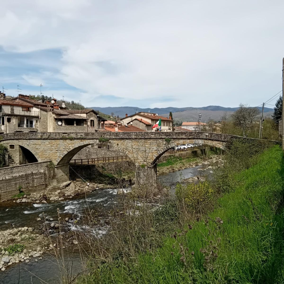 Campo gara di pesca permanente - Tratto fiume Solano fra Rifiglio e Strada (da geolocalizzare)