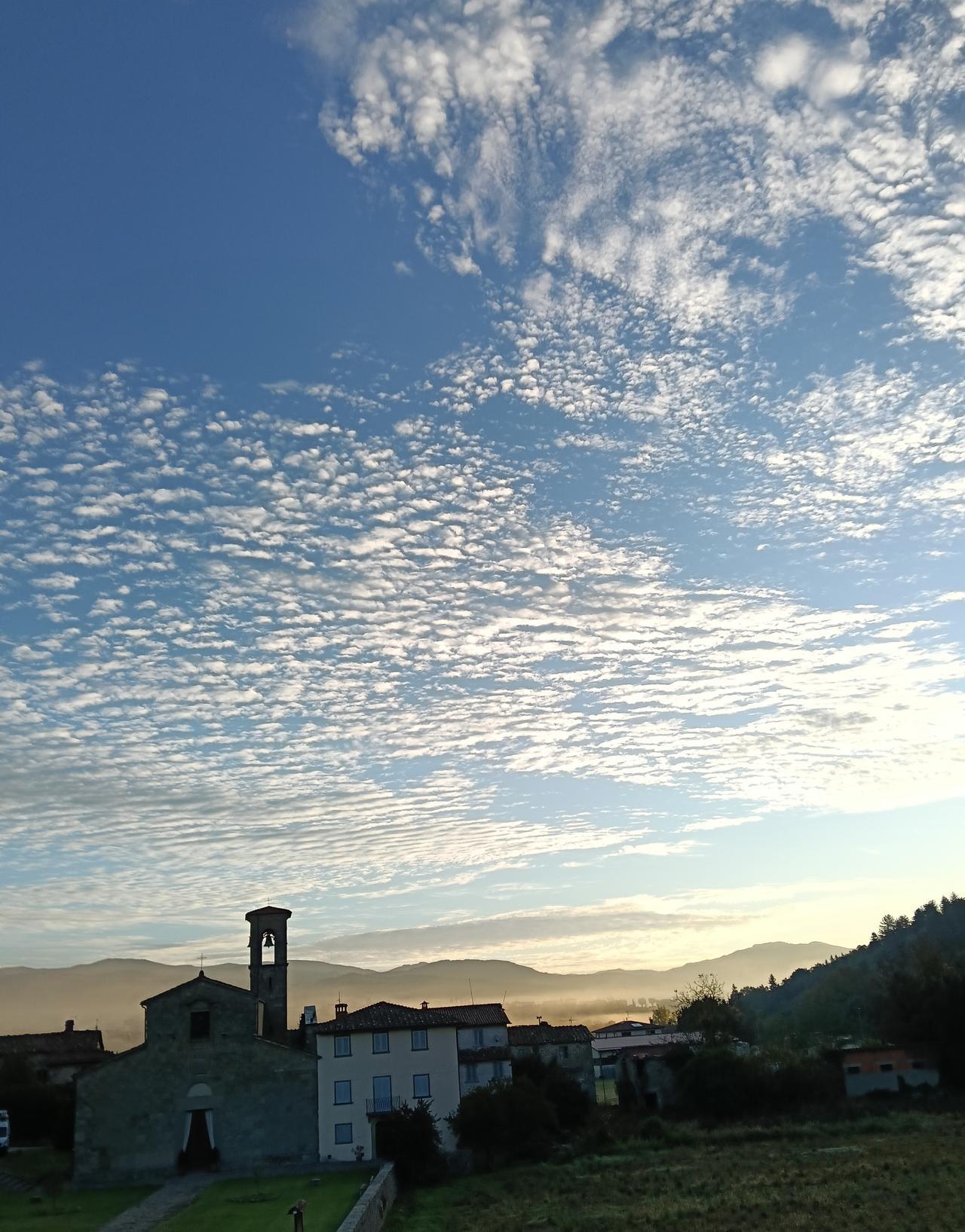 Ph Francesco Conticini