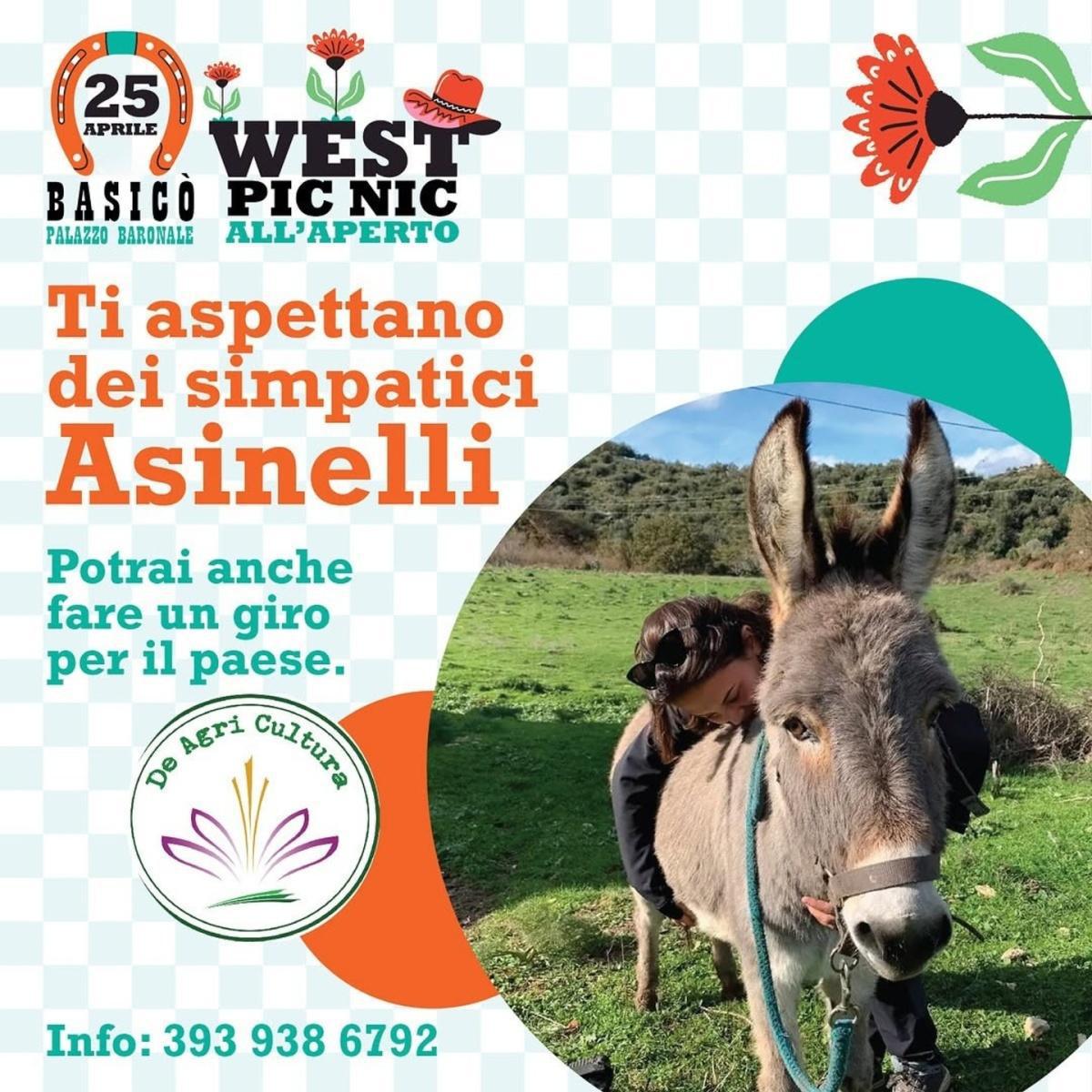 Ti aspettano dei simpatici asinelli