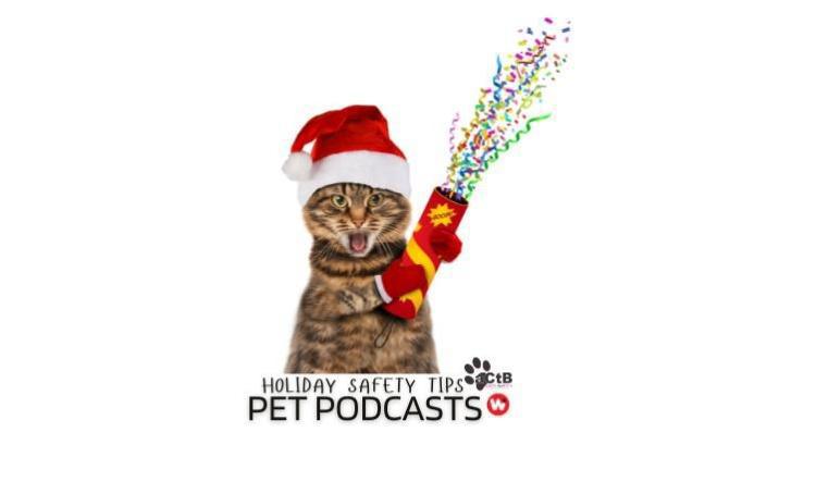 Merry & Safe: Pet Holiday Tips