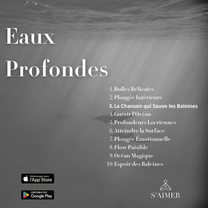 La Chanson qui Sauve les Baleines La Chanson qui Sauve les Baleines