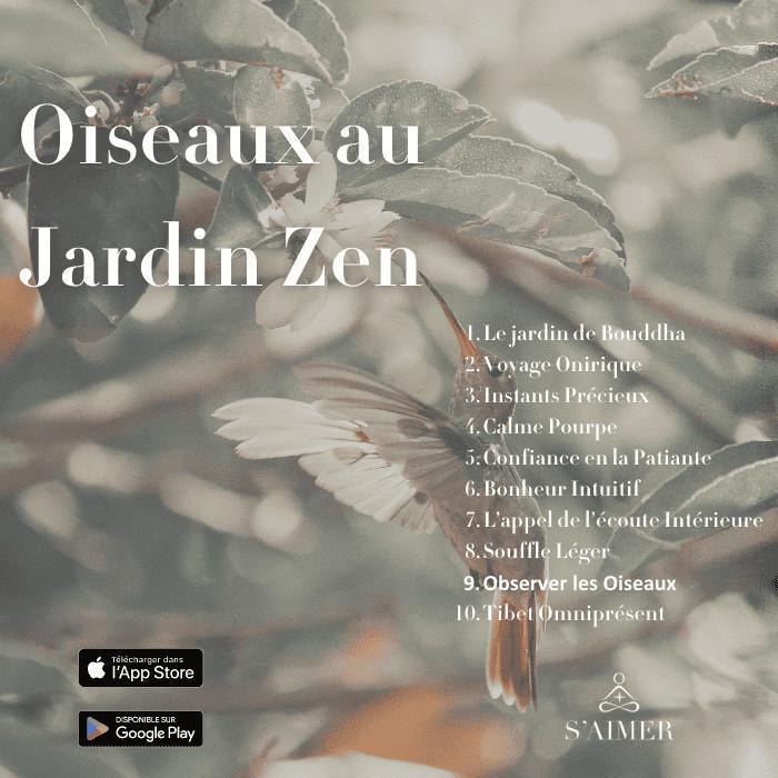 Observer les Oiseaux Observer les Oiseaux