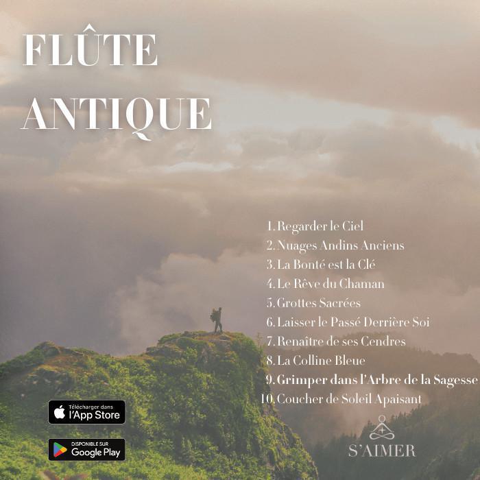 Grimper dans l'Arbre de la Sagesse