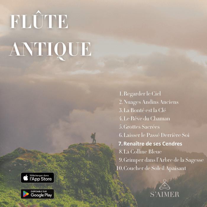 Renaître de ses Cendres Renaître de ses Cendres