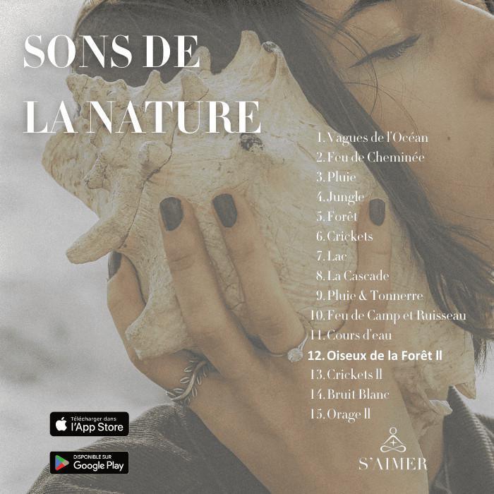 Oiseaux de la forêt II