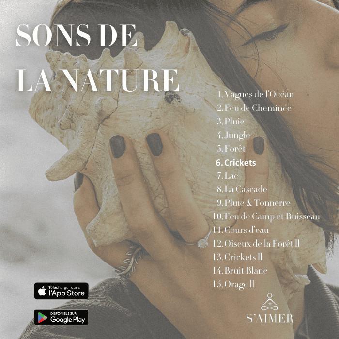 Le Chant des Grillons