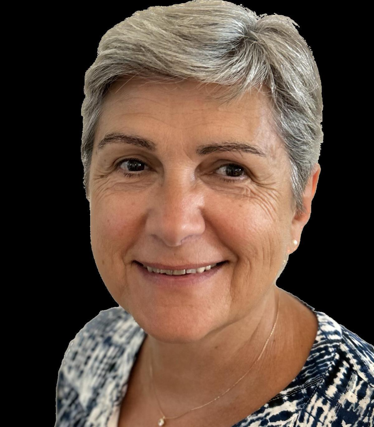 Sylvie BOUDIERES - Secteurs 1Z, BSM, SID