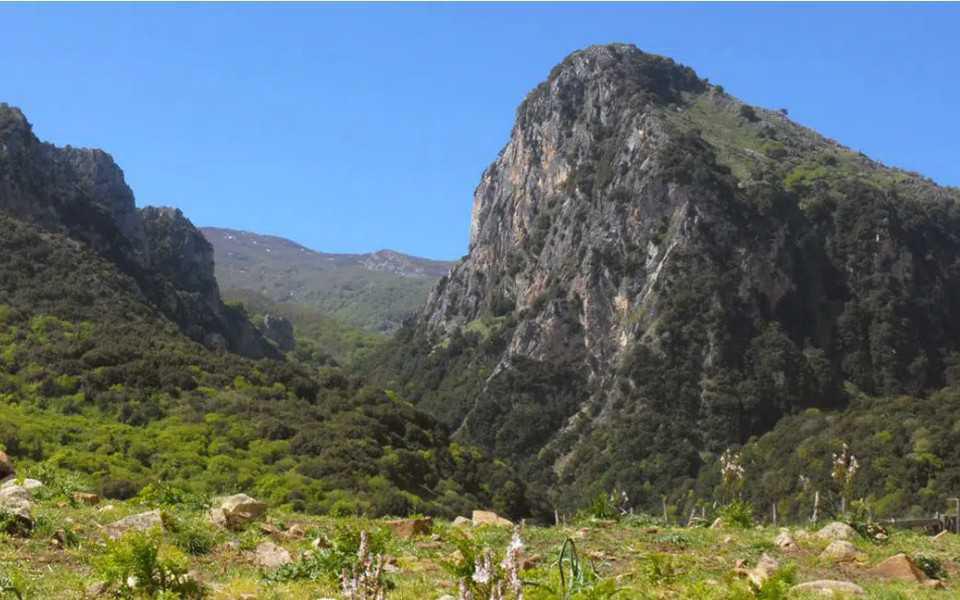 Tailor-made excursions Tailor-made excursions