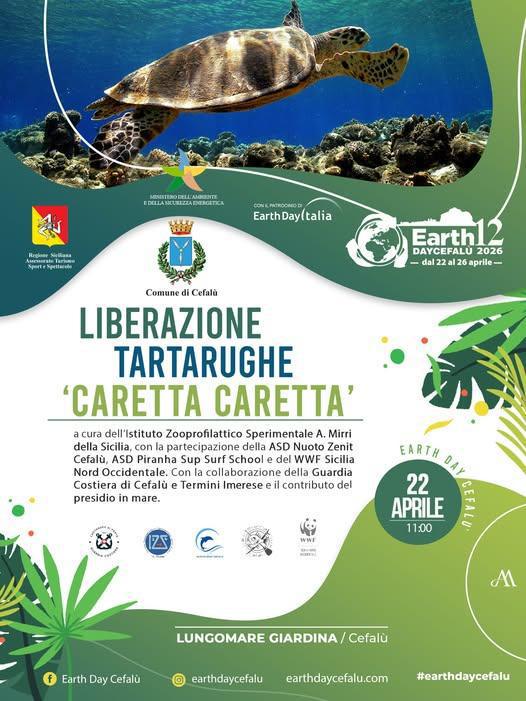 Liberazione tartarughe ‘Caretta Caretta’ (inizio ore 11.00)