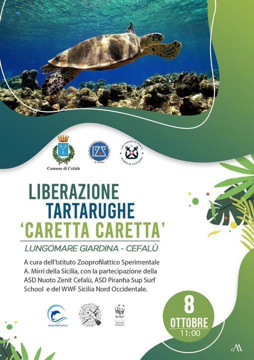 Liberazione tartarughe "Caretta Caretta" (inizio ore 11:00) Liberazione tartarughe "Caretta Caretta" (inizio ore 11:00)